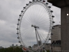 england_2014_43