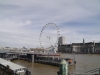 Brighton2015-22