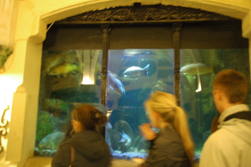 Brighton Sea Life Centre