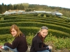 Maze at Leeds Castle