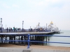 RWS-Brighton-17