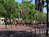 RWS-Brighton-26