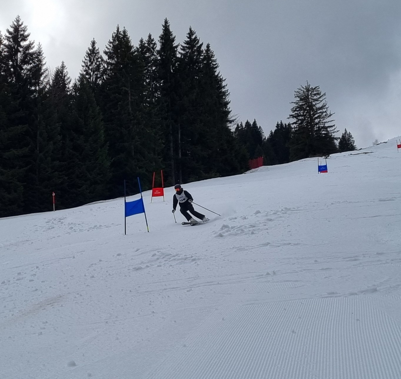 im Rennen