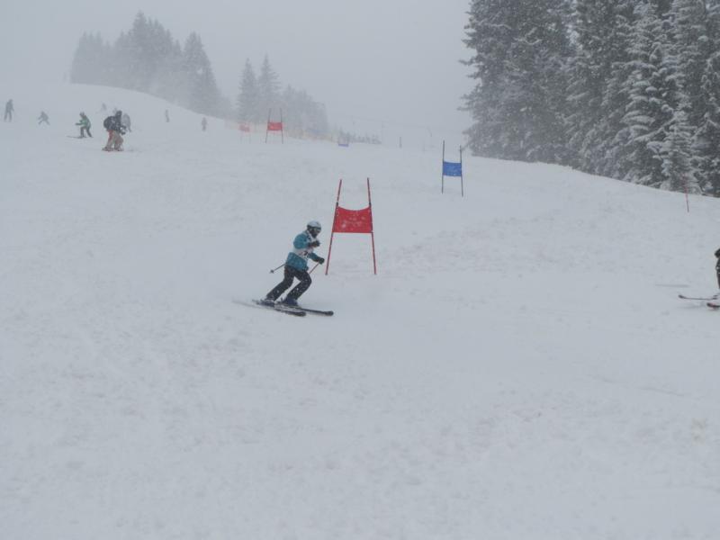 img_1355 img_1355