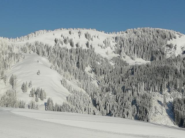 Blick Buchel Alpe